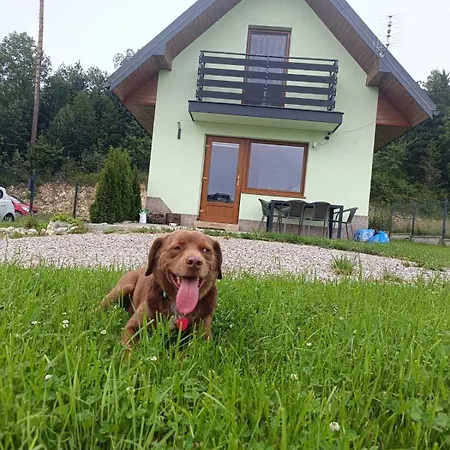 U Hornika Dursztyn
