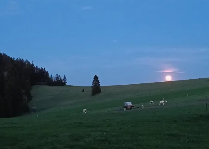 U Hornika * Dursztyn